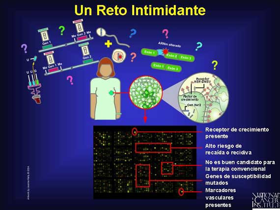 Un Reto Intimidante