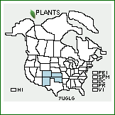 Distribution of Yucca glauca Nutt. var. gurneyi McKelvey. . 