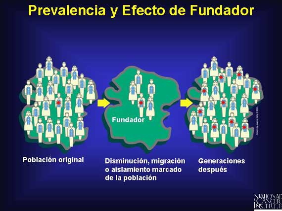 Prevalencia y Efecto de Fundador