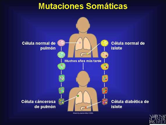 Mutaciones Somáticas
