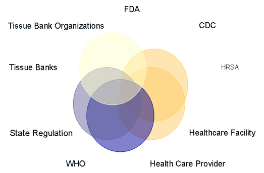 schematic of interactions between FDA, CDC, HRSA, healthcare facilities and providers, WHO, States, Tissue organizations