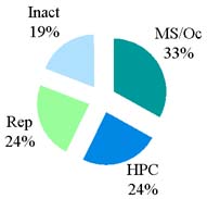 Pie chart divided into 4 areas: Inact: 19%, Rep 24%, HPC 24%, MS/Oc 33%