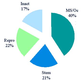 Pie chart: inact 17%, MS/Oc 40%, Repro 22%, Stem 21%
