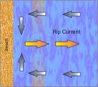 Diagram of Rip Current motion going out then back to shore to left and right