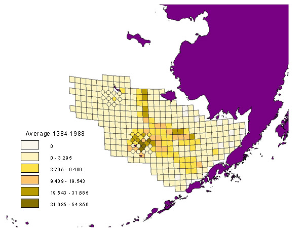 emptygastropodshell_map84-88.jpg (74480 bytes)