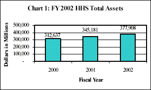 FY 2002 HHS Total Assets