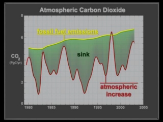 Add the sink area to the graph