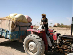 Abdul Aquil, at the wheel of his tractor, brings crops to market on the Jaghatu to Rashidan road.