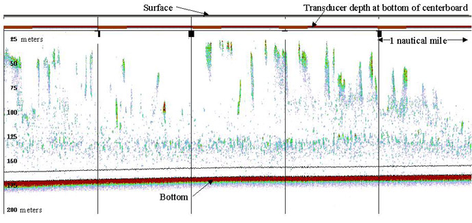 graph of pollock echosign near U.S./Russia border