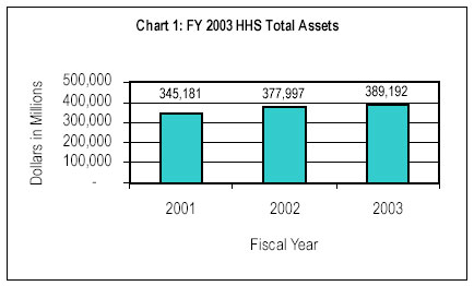 Chart 1: FY 2003 HHS Total Assets