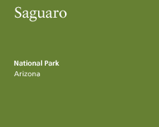 Saguaro National Park