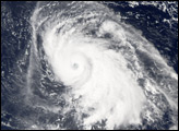 Thumbnail of Typhoon Yagi