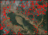 Thumbnail of Fires in Southeast Asia