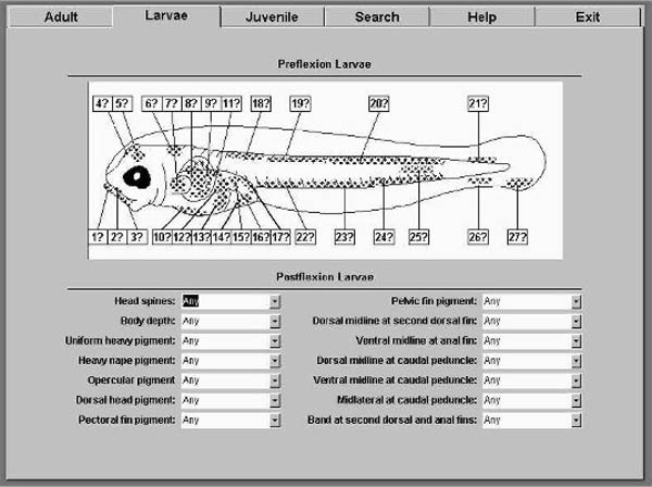 screen shot of search section of rockfish database