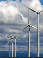 Photo of the wind turbines