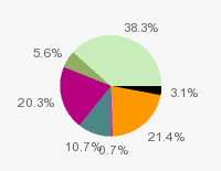 Pie chart: in table form below