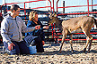 Caretakers with white-tailed deer