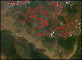 Thumbnail of Fires in Southeast Asia