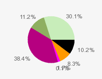 Pie chart: in table form below