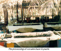 photo - The processing of cocaine base to paste.