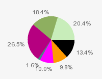 Pie chart: in table form below