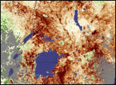 Thumbnail of Drought  in East Africa