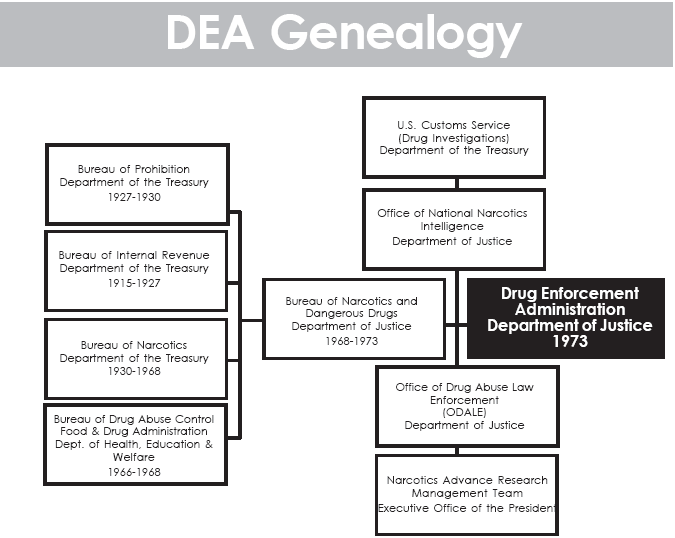DEA genealogy