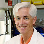 Andrew J. Griffith, Ph.D., M.D.