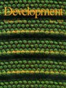 Cover of Developement journal, Volume 130 (11), June 2003