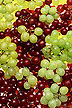 Grape varieties