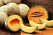 Cantaloupes