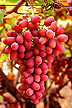 Crimson Seedless grapes