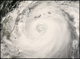 Thumbnail of Typhoon Sinlaku