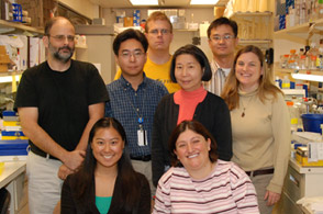 Lab Photo