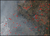 Thumbnail of Spring Fires in Western Russia