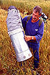 Insect collection in wheat field