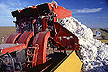 Cotton harvesting