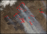 Thumbnail of Large Fires in Mongolia