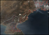 Thumbnail of Fires in North Korea, Russia