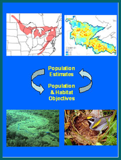 PIF Landbird Population Estimates Database and User Guide