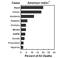 10 Leading Causes of Death Among Minority Groups-American Indians