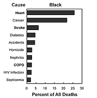 10 Leading Causes of Death Among Minority Groups-Blacks