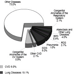Deaths Under Age 1 Year Due to Cardiovascular and Lung Diseases