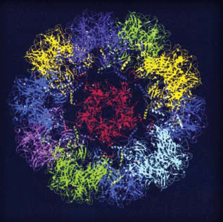 Virus-like Particles (VLPs) Assembled from the L1 Protein of Human Papillomavirus 16