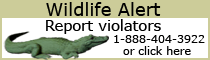 Wildlife Alert