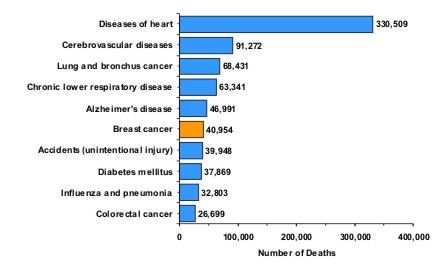 Top 10 causes of death for women in the United States. 1 Diseases of heart, 330,509. 2 Cerebrovascular diseases, 91,272. 3 Lung and bronchus cancer, 68,431. 4 Chronic lower respiratory disease, 63,341. 5 Alzheimer's disease, 46,991. 6 Breast cancer, 40,954. 7 Accidents (unintentional injury), 39,948. 8 Diabetes mellitus, 37,869. 9 Influenza and pneumonia, 32,803. 10 Colorectal cancer, 26,699.