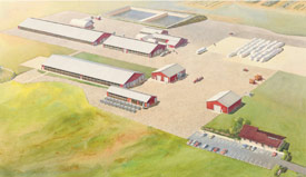 Artist's concept drawing of the IEIDM north site partially constructed in Stratford, WI.