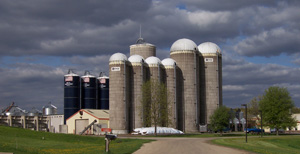 Image of the farm as seen while driving up the driveway.