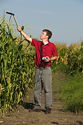 In test cornfield, Marty Williams measures solar radiation intercepted by the plants. Link to photo information