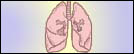 Occupational Asthma